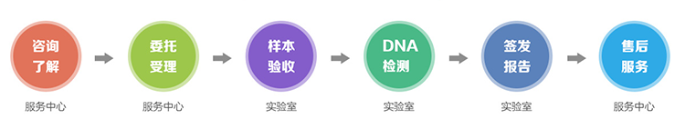 宿迁隐私亲子鉴定流程